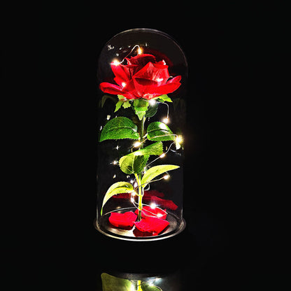 Rosa Luces LED Cálidas + Cúpula